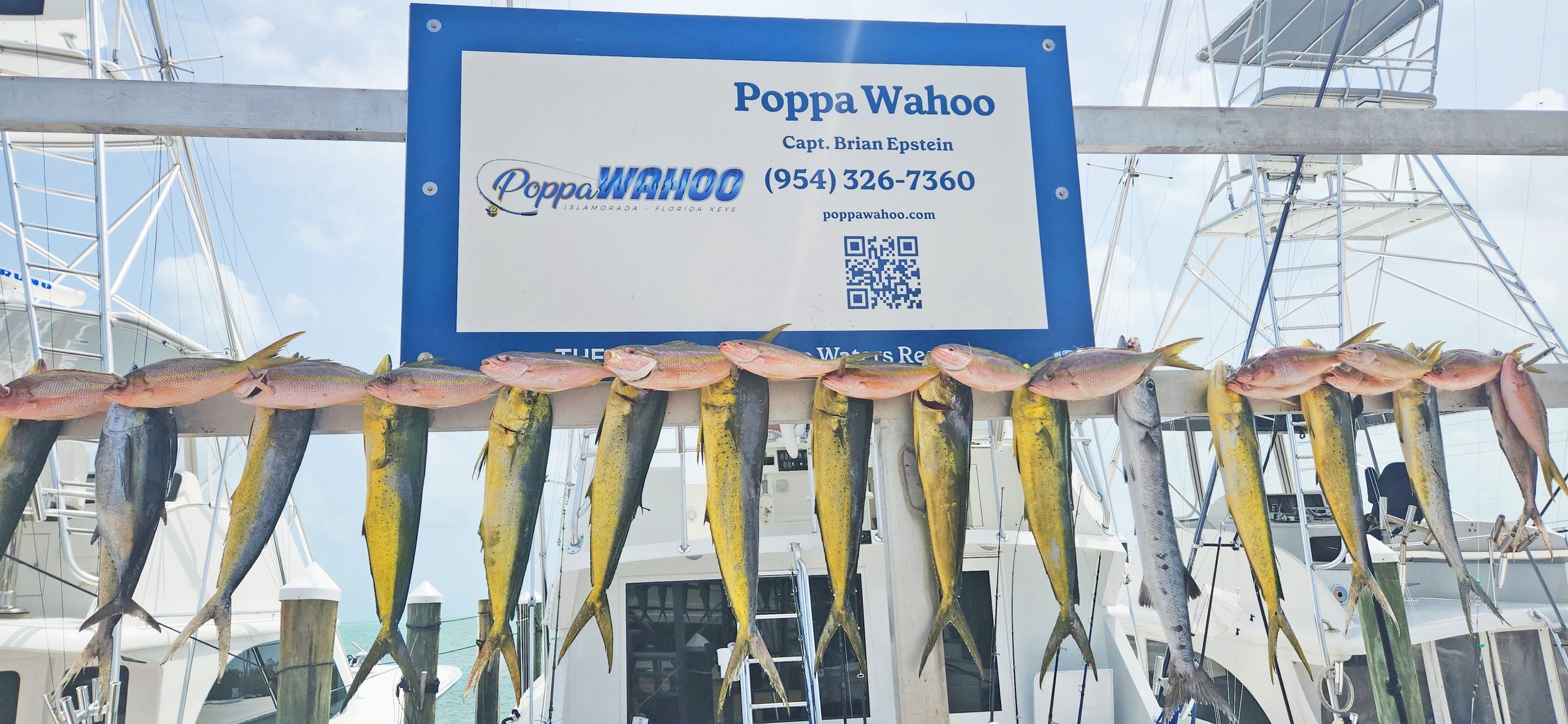 Mahi and yellowtail snapper from an Islamorada trip