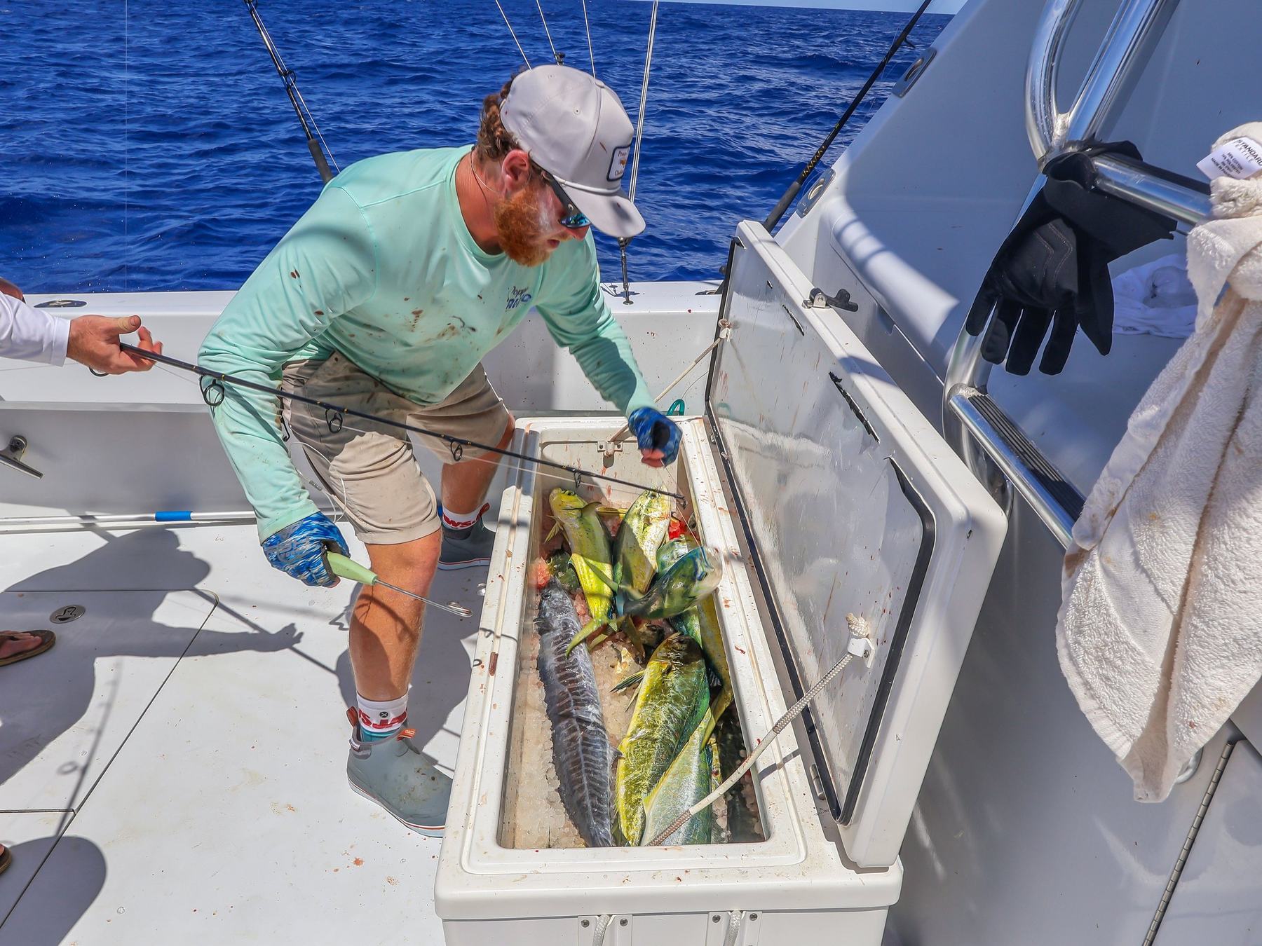 A fish box of mahi and wahoo aboard the Poppa Wahoo