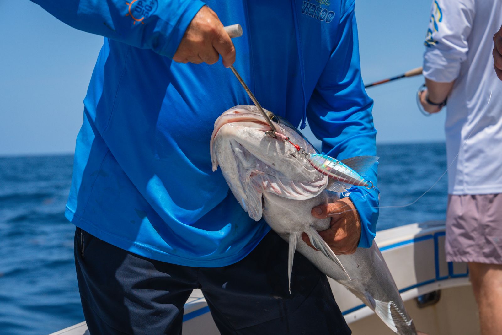 A second amberjack over the rail