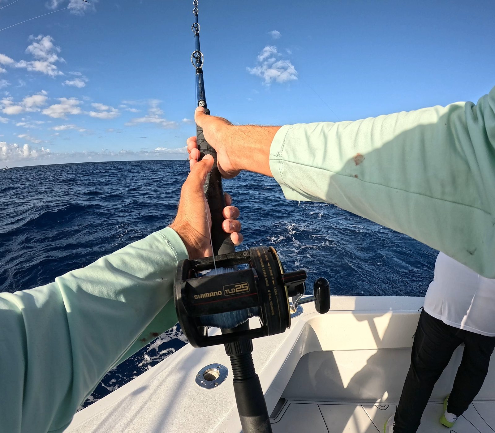 Hooked up on the troll