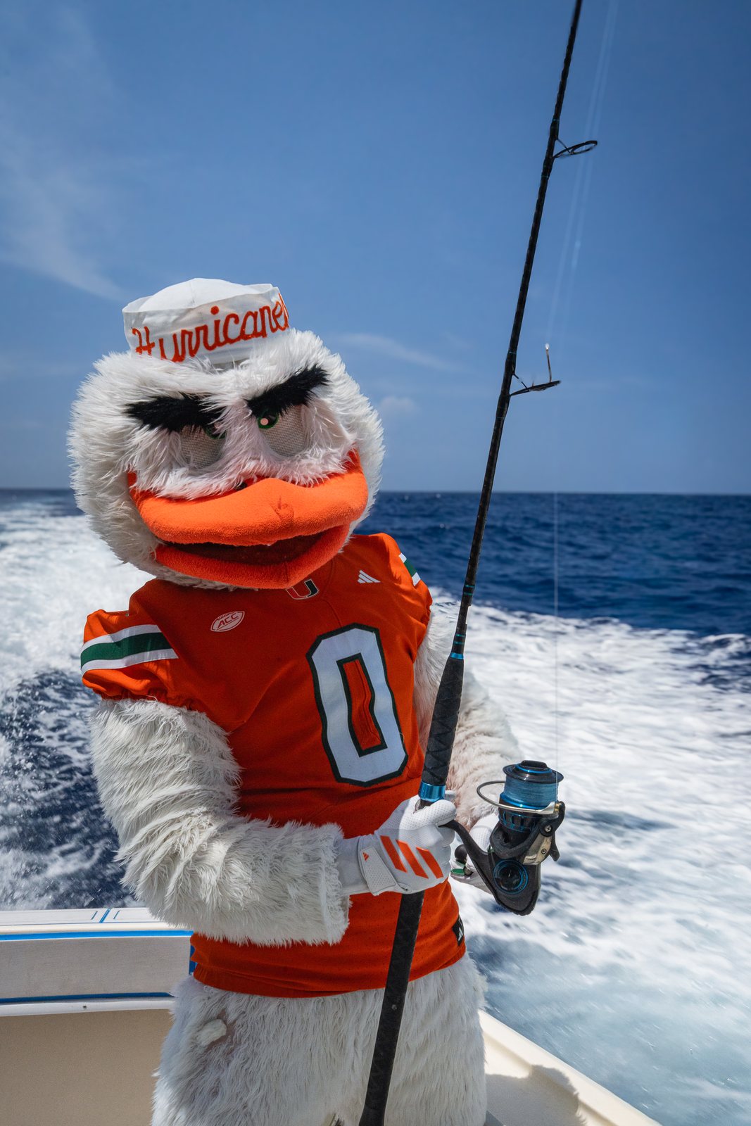 Sebastian the Ibis, yes really, on the rod during the UM tournament