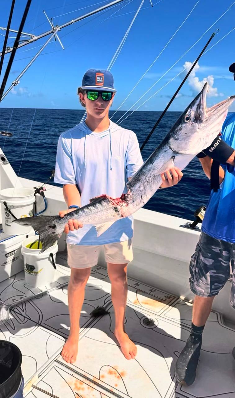 A barracuda taxed by a shark on the way to the boat off Islamorada