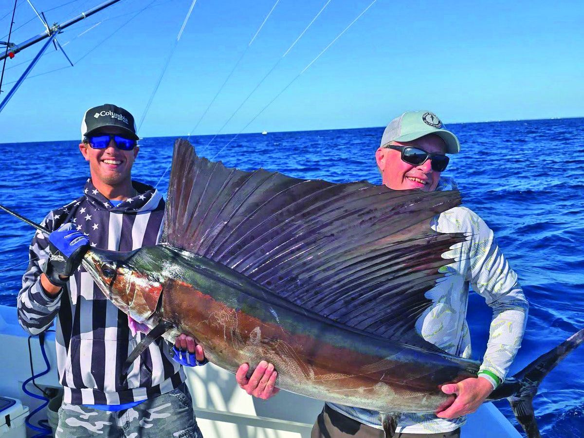 A sailfish on the leader