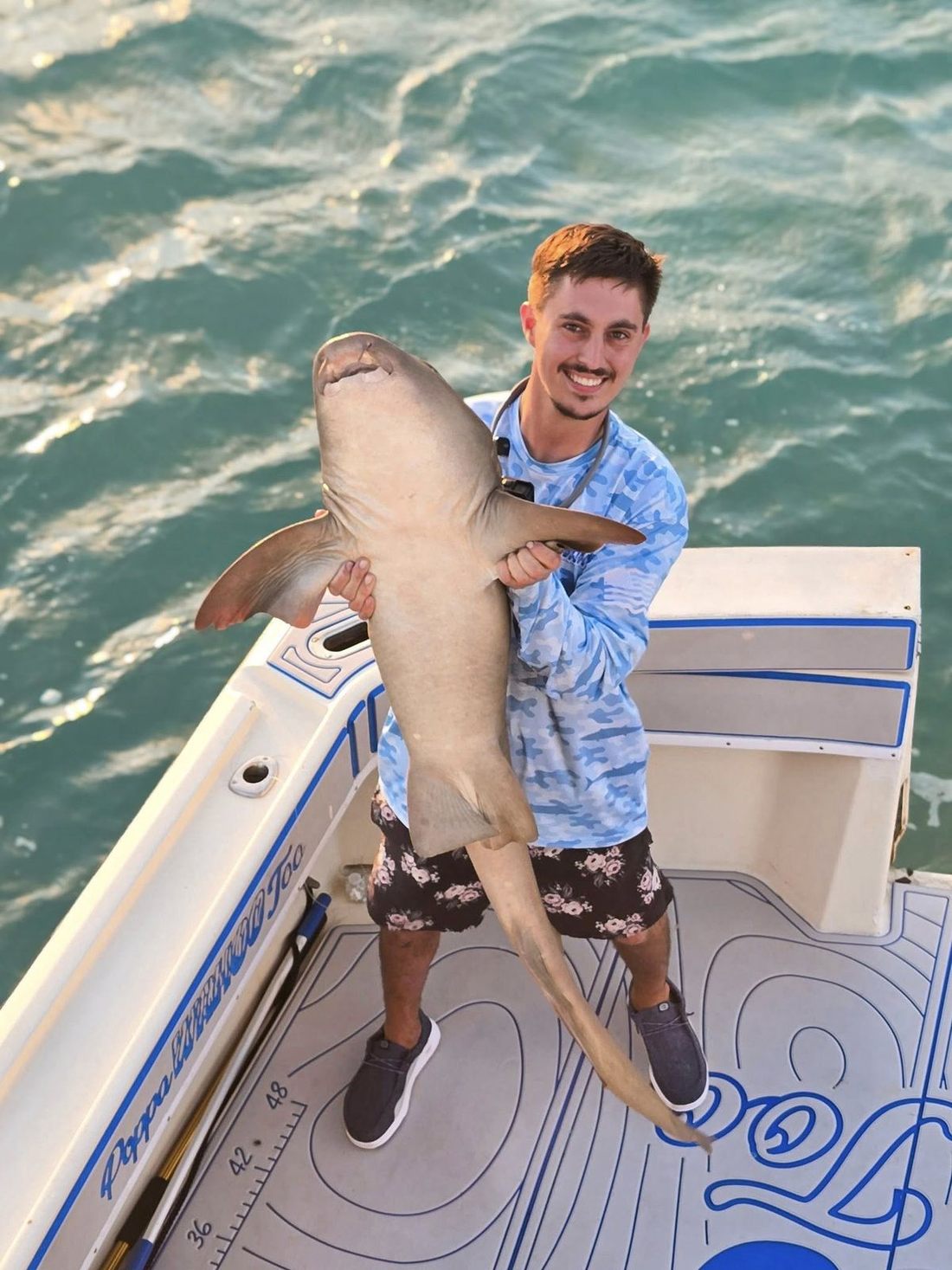 A shark held boatside for a quick photo before release