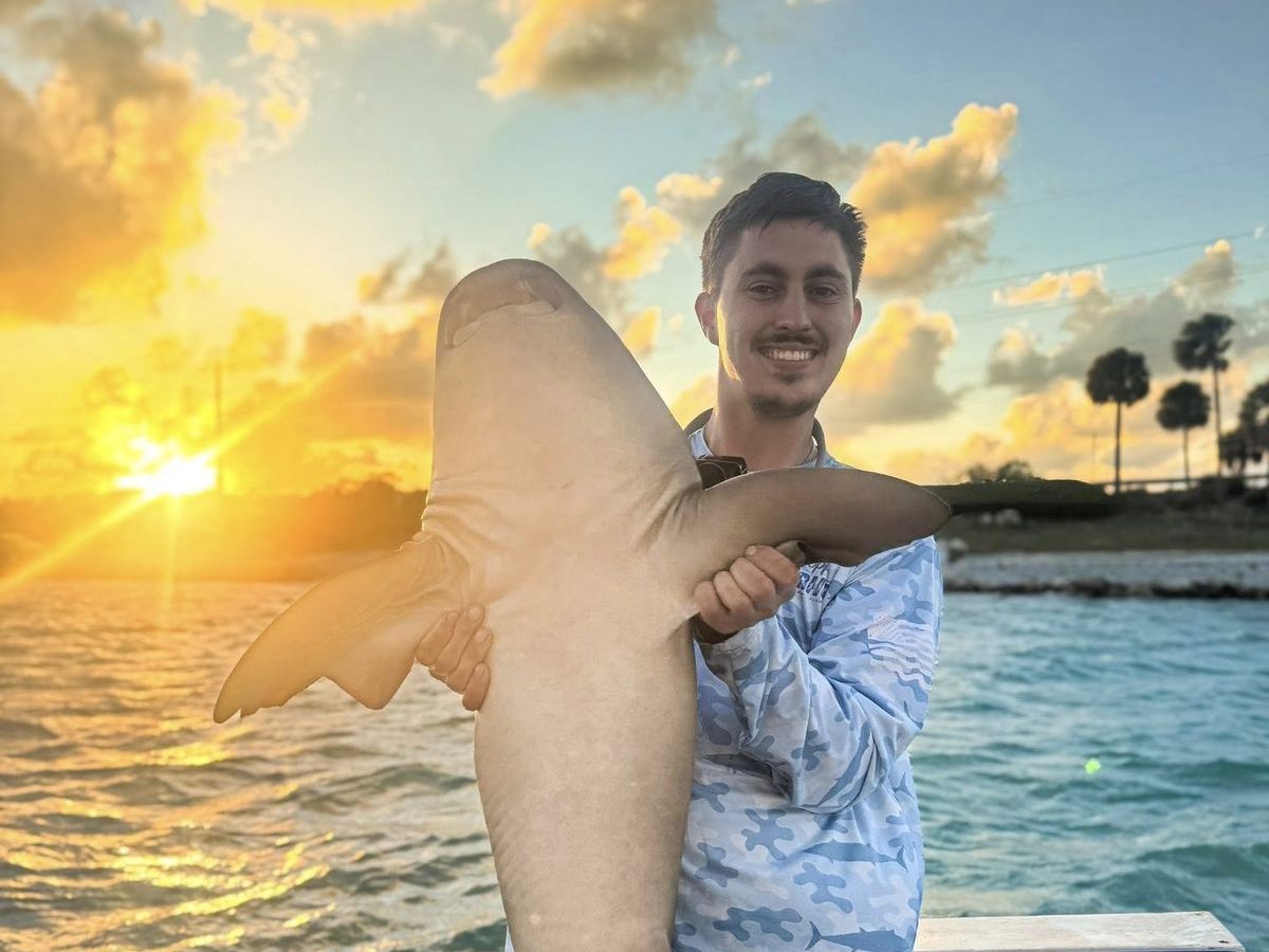 A shark held at sunset after an evening shark trip