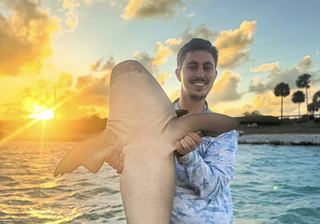 Evening shark trip